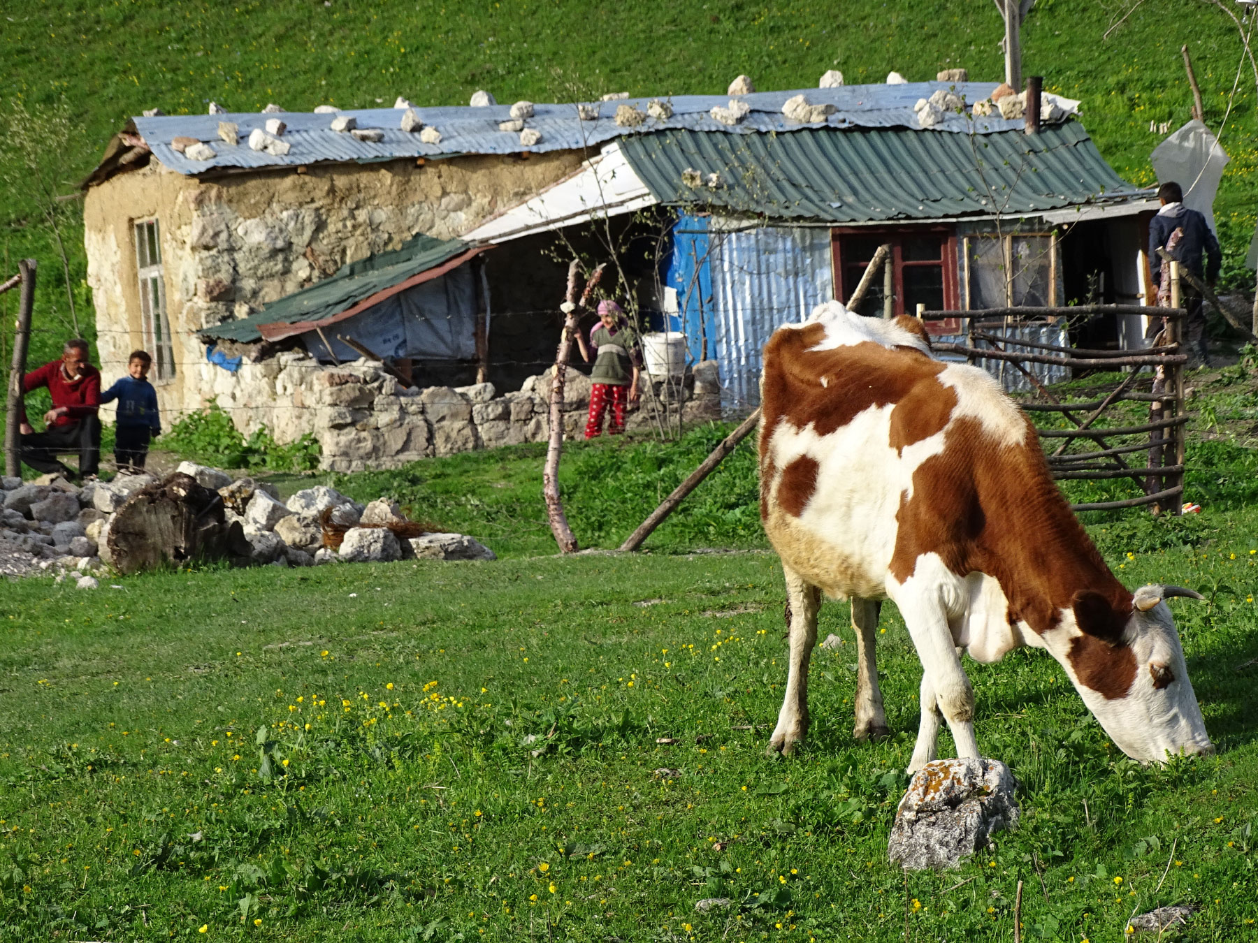 Laza (Photo license: CC BY 2.0)